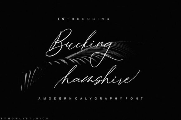 Bucking Hamshire: A Creative Font for Modern Branding
