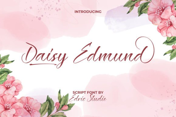 Daisy Edmund: An Elegant Calligraphy Script for Creative Brands