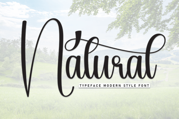 Exploring the Natural Handwritten Script Font