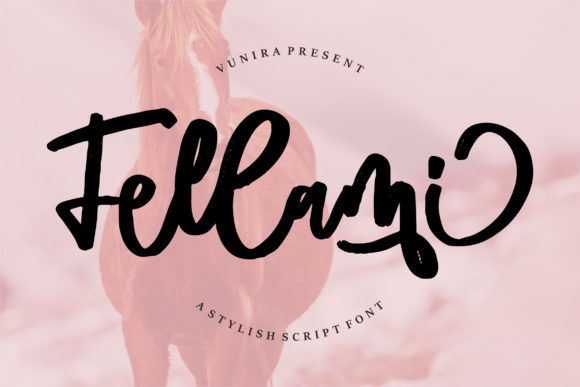 Fellami: The Script Font That Brings Warmth to Your Projects