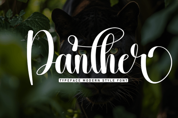 Panther: A Script Font That Brings Elegance to Every Design